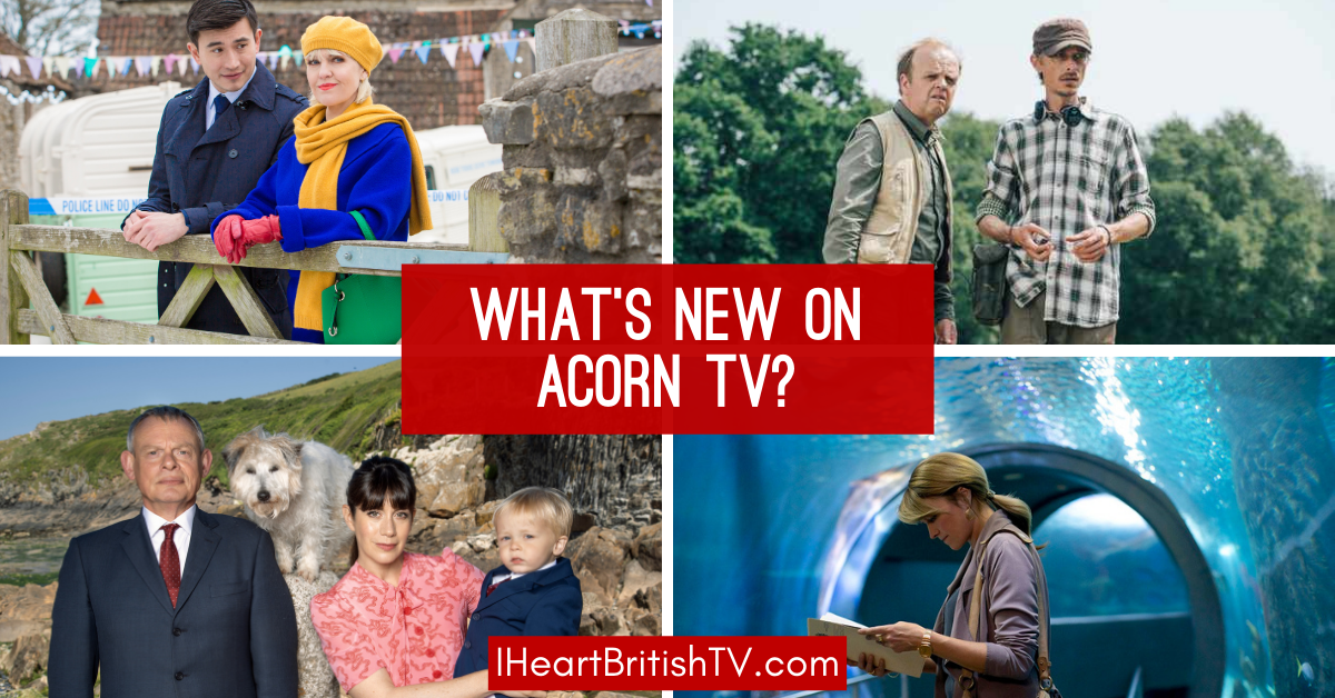 what's new on the acorn tv schedule